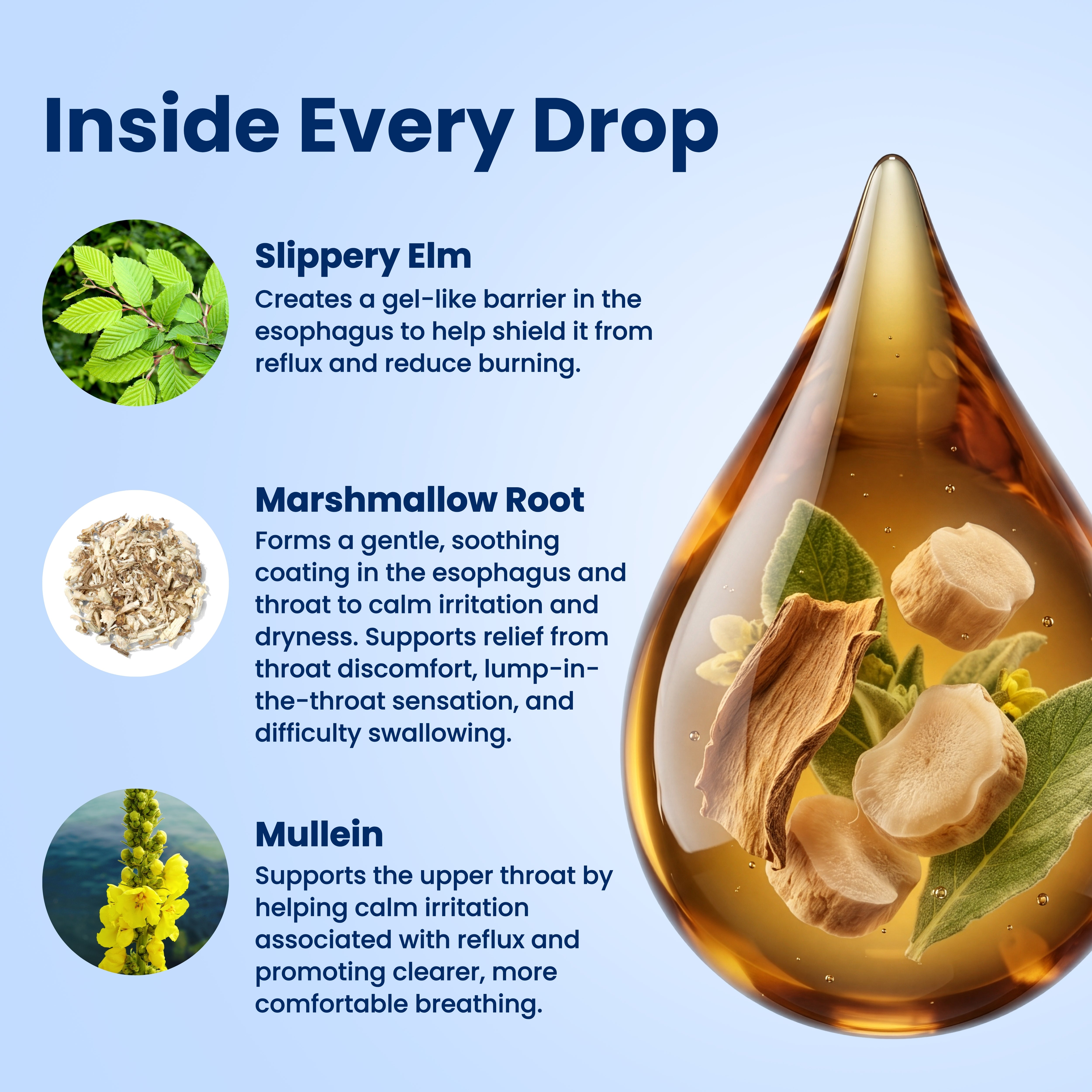 Kind Drops- Natural Diaphragm Reflux Drops